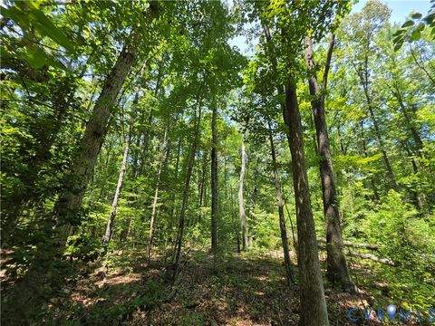 Tiny photo for 0 Stage Junction Road, Columbia, VA 23038 (MLS # 2620088)