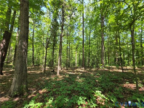 Tiny photo for 0 Stage Junction Road, Columbia, VA 23038 (MLS # 2620088)