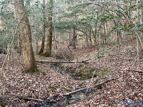 Tiny photo for 0 Tunstall Road, New Kent, VA 23124 (MLS # 2600653)