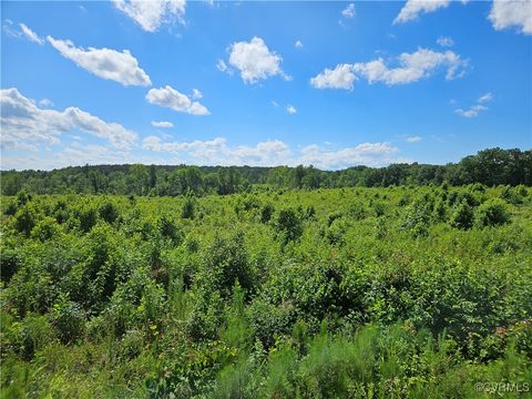 Tiny photo for 17.54 Acres Indian Oak Road, Crewe, VA 23930 (MLS # 2515609)