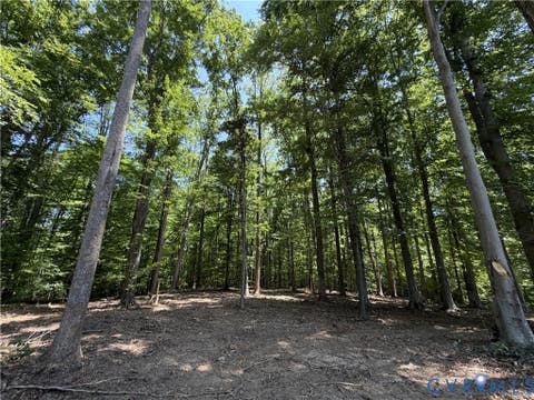 Tiny photo for Lot 4A Parrish Road, Louisa, VA 23093 (MLS # 2618098)