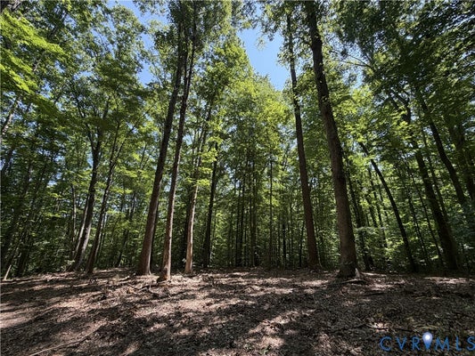 PARRISH RD, LOUISA, VA 23093 - Image fcea01d32a3d189d9c2710ce35917d59/2304046150