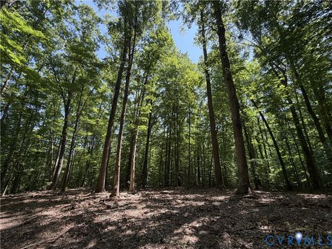 Photo of Lot 4A Parrish Road, Louisa, VA 23093 (MLS # 2618098)
