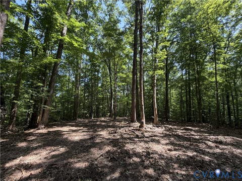 Tiny photo for Lot 4A Parrish Road, Louisa, VA 23093 (MLS # 2618098)