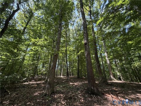 Tiny photo for Lot 4A Parrish Road, Louisa, VA 23093 (MLS # 2618098)