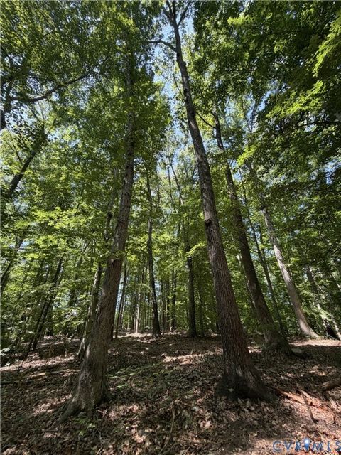 Tiny photo for Lot 4A Parrish Road, Louisa, VA 23093 (MLS # 2618098)