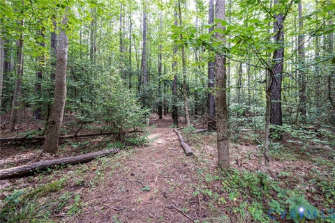 Tiny photo for 19151 Poor House Road, Amelia Courthouse, VA 23002 (MLS # 2623638)