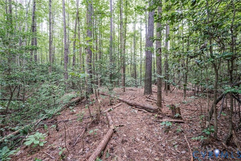 Tiny photo for 19151 Poor House Road, Amelia Courthouse, VA 23002 (MLS # 2623638)