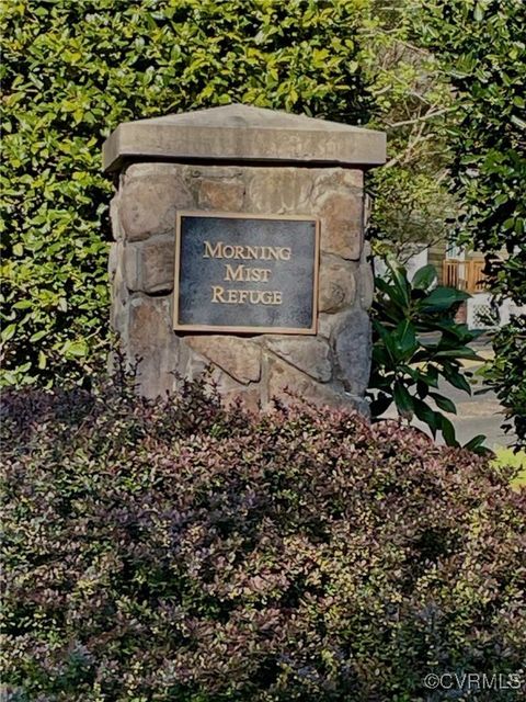 Tiny photo for 3352 Morning Mist Lane, Toano, VA 23168 (MLS # 2509373)