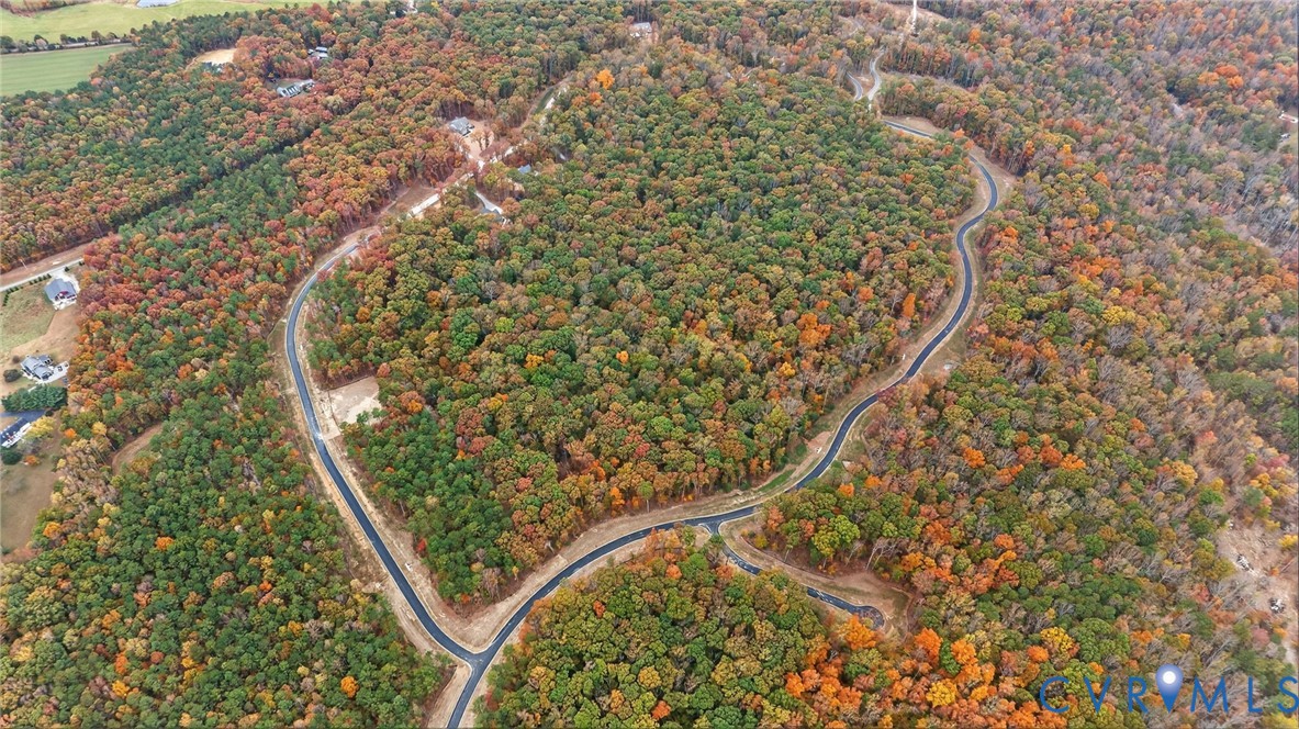 14431 Lightfoot Court