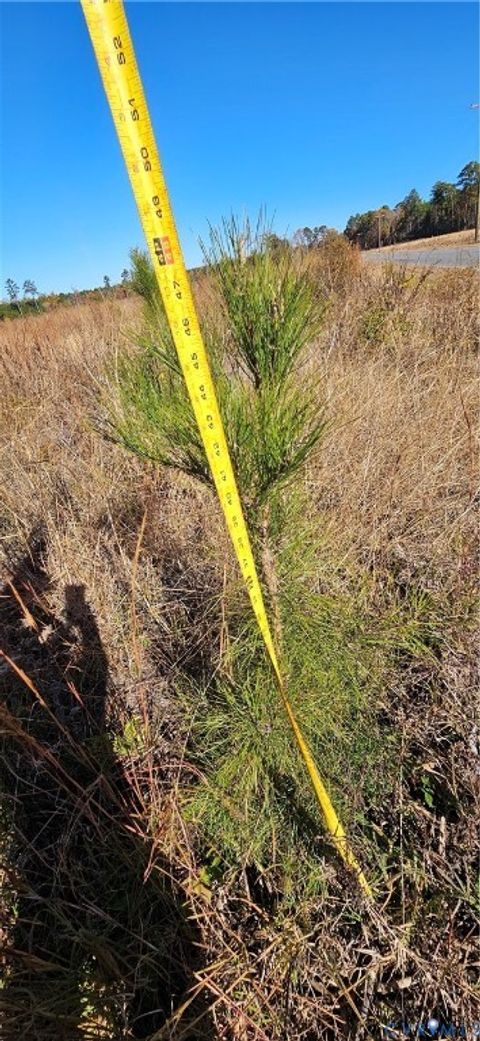 Tiny photo for 36-201A Hussey's Creek Road, Farnham, VA 22460 (MLS # 2530564)