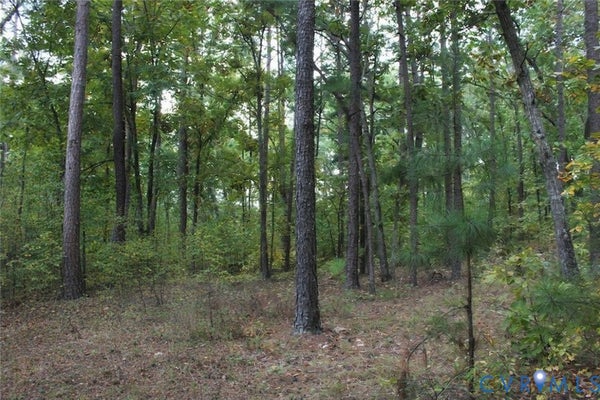 N WASHINGTON ST, HIGHLAND SPRINGS, VA 23075 - Image fee4a42c25bae5194a132d5fdbfdda8a/842177749