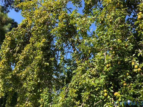 Tiny photo for 81 NORTHUMBERLAND (.92 ACRES) Drive, Lottsburg, VA 22511 (MLS # 2603459)