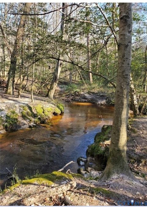Tiny photo for 17237 Ivory Bill Lane, Chesterfield, VA 23838 (MLS # 2618979)