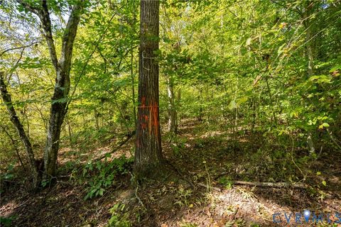 Tiny photo for 0 Beaver Dam Road, Beaverdam, VA 23015 (MLS # 2600533)