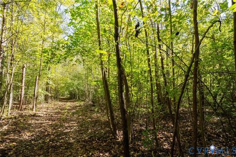 Tiny photo for 0 Beaver Dam Road, Beaverdam, VA 23015 (MLS # 2600533)