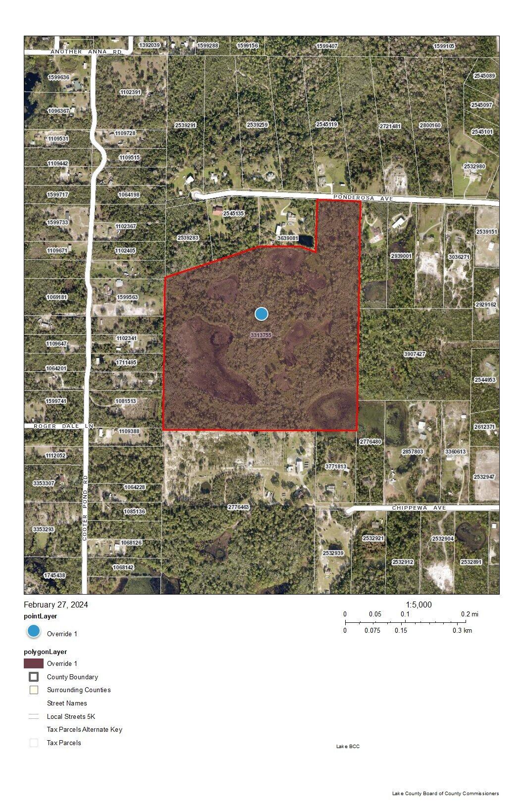 Listing image 1
