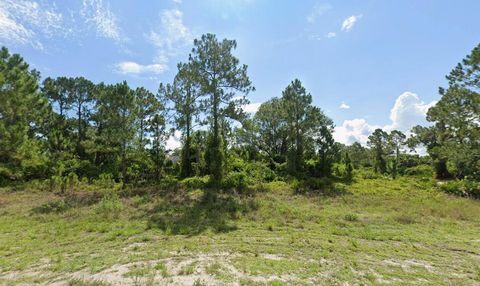 Photo of 627 Columbus Boulevard S, Lehigh Acres, FL 33974 (MLS # RX-11129339)
