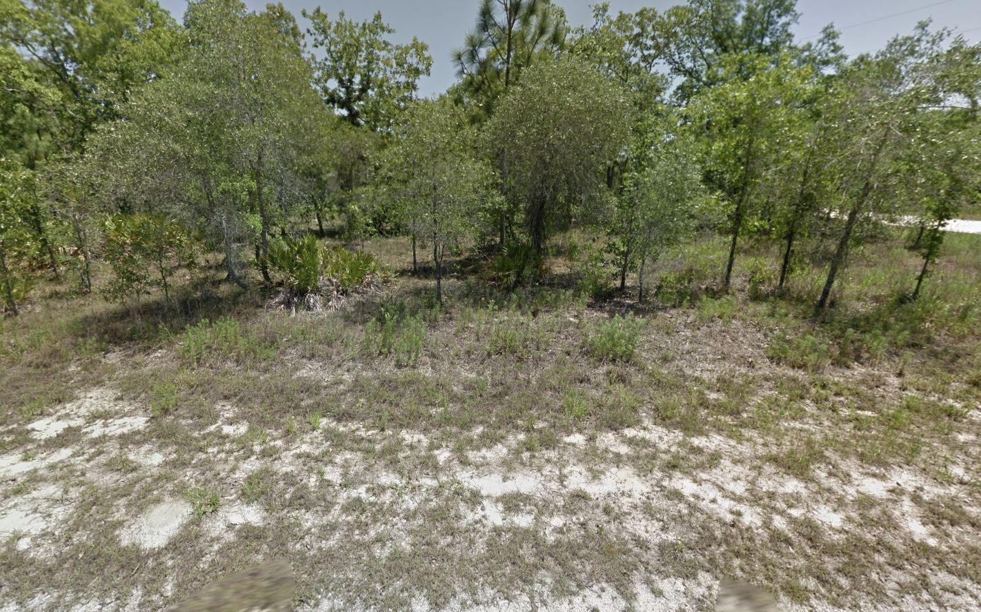Listing image 1