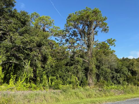 Photo of 0 Magnolia Drive, Okeechobee, FL 34972 (MLS # RX-11129568)