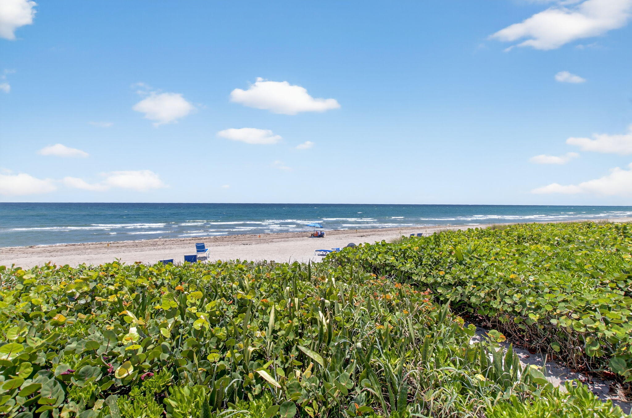 Property for Sale at 2909 S Ocean Boulevard 2B2, Highland Beach, Broward County, Florida - Bedrooms: 1 
Bathrooms: 2  - $999,900