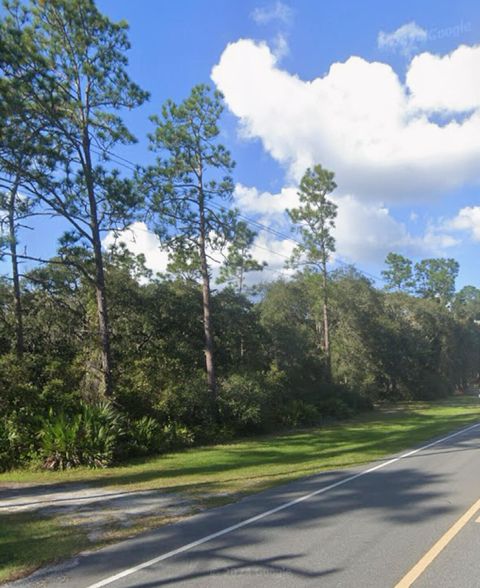 Photo of 0 NE 315 Hwy, Fort McCoy, FL 32134 (MLS # RX-11129078)
