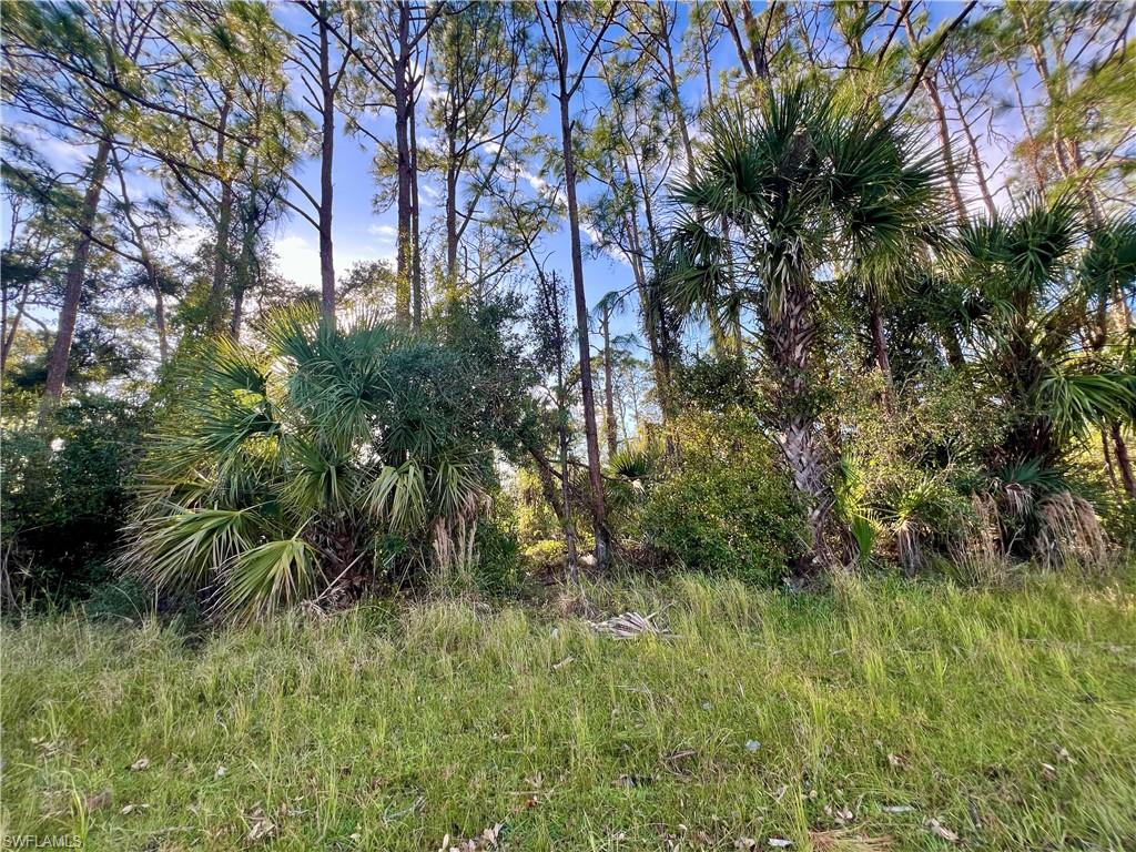 LOT # 26 Lummus St