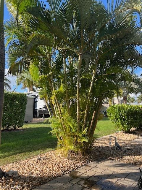 5212 Marsh Mallow TRL
