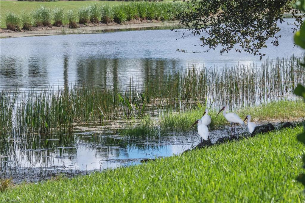 Naples, Florida 34120, United States, 2 Bedrooms Bedrooms, ,2 BathroomsBathrooms,Residential,Active,105367