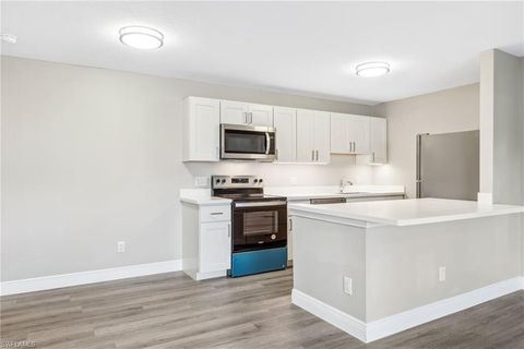 17422 Birchwood LN 1 FORT MYERS FL 33908