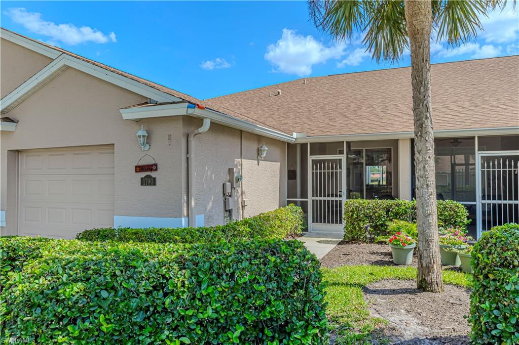1790 Morning Sun LN C50