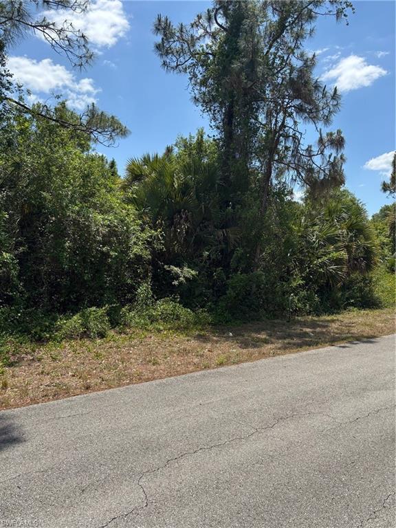 Lehigh Acres, Florida 33974, United States, ,Land,Active,117006