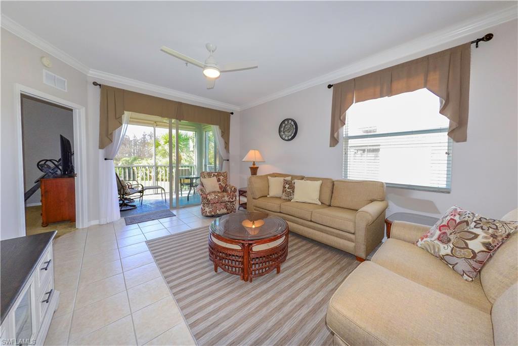10453 Washingtonia Palm WAY 3338