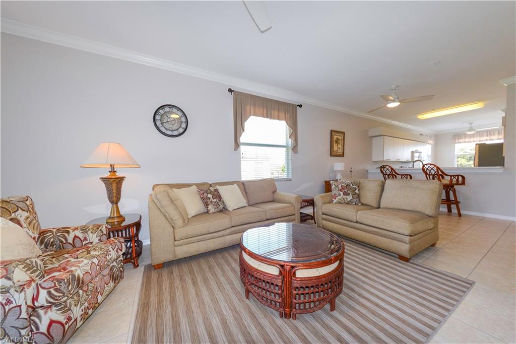 10453 Washingtonia Palm WAY 3338