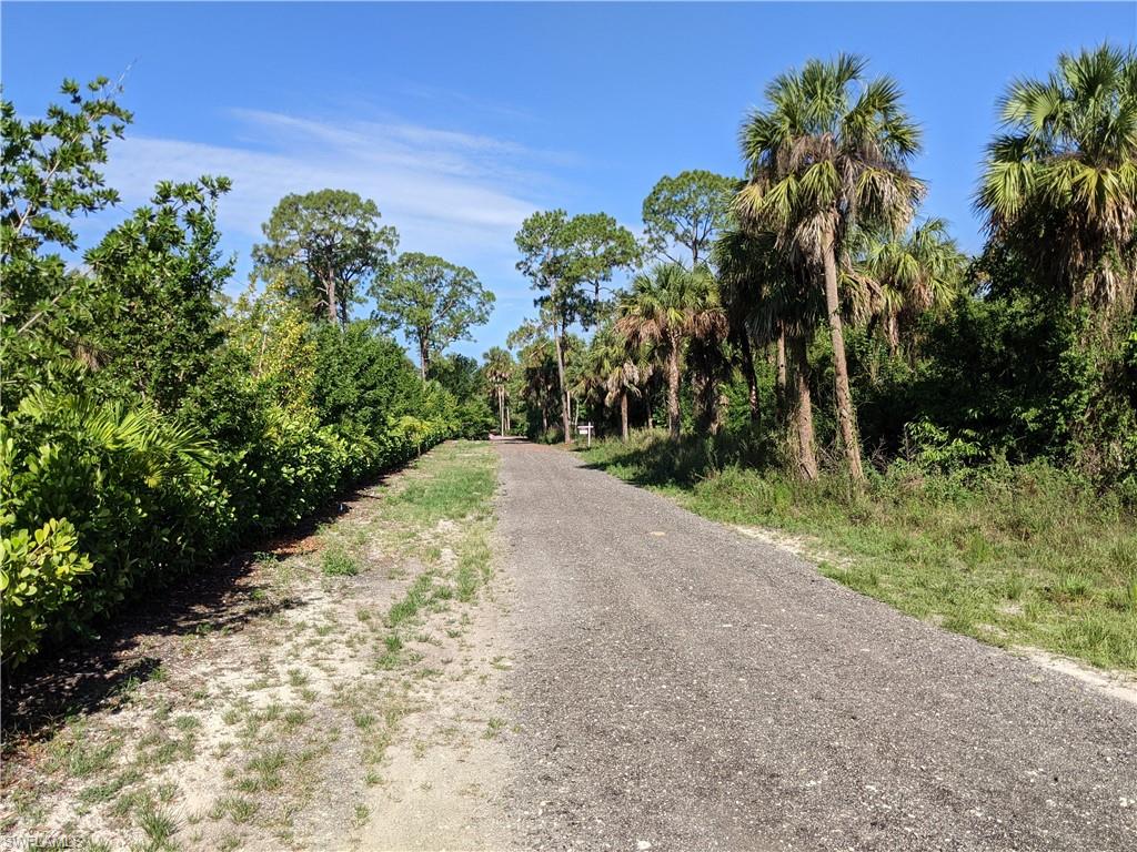 Naples, Florida, 34120, United States, ,Land,Active,2006521