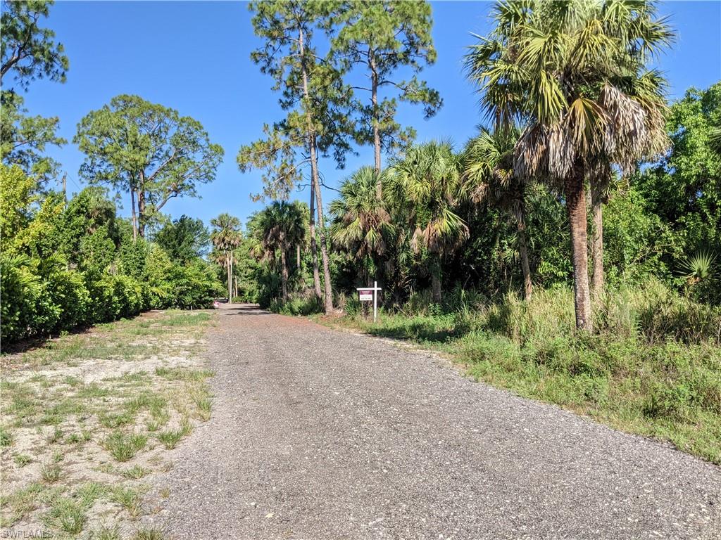 Naples, Florida, 34120, United States, ,Land,Active,2006521