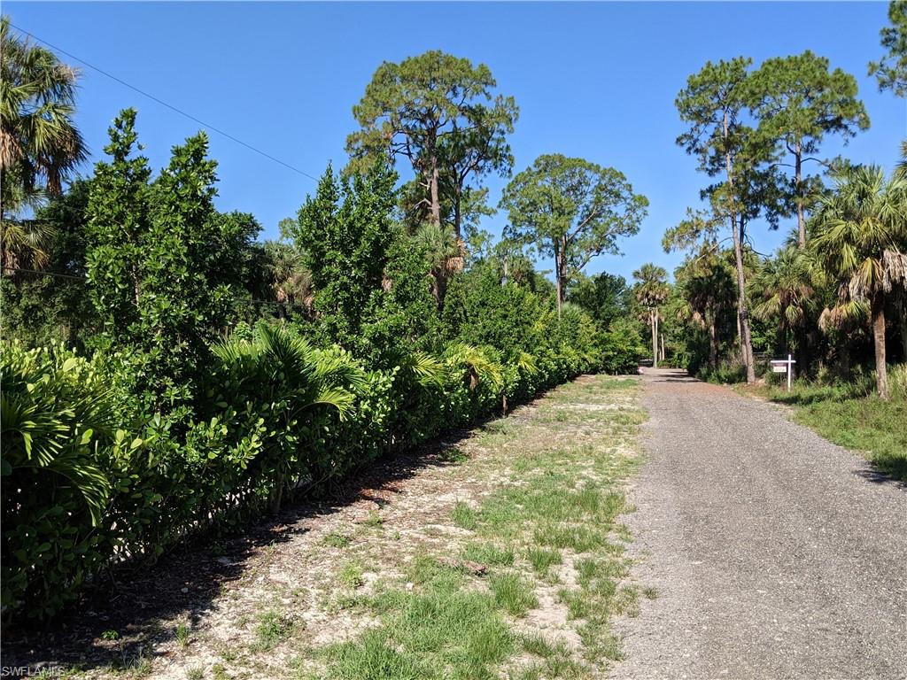 Naples, Florida, 34120, United States, ,Land,Active,2006521