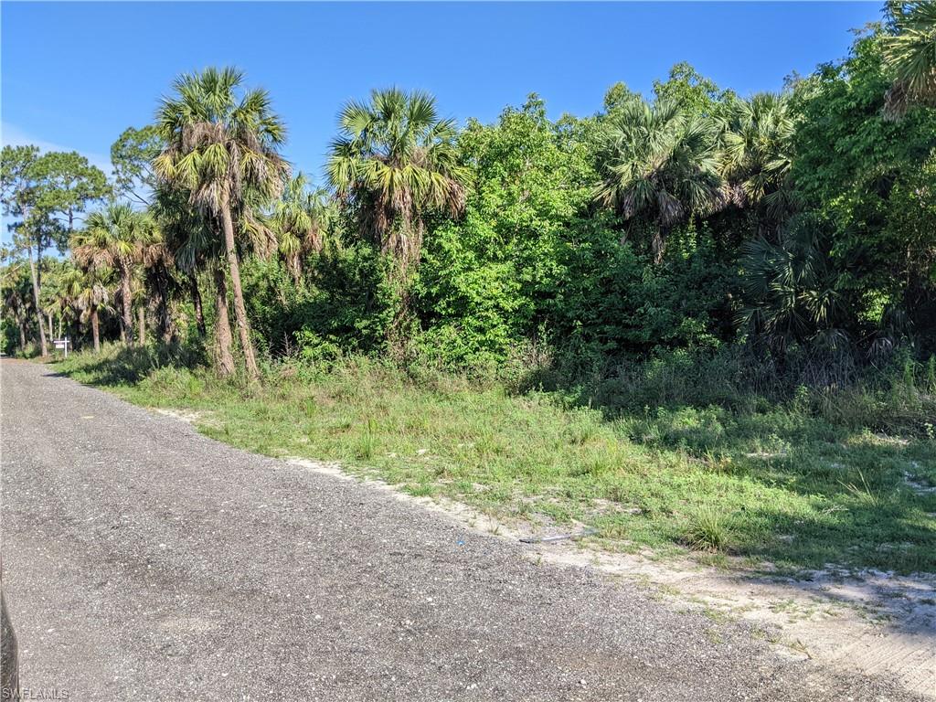 Naples, Florida, 34120, United States, ,Land,Active,2006521