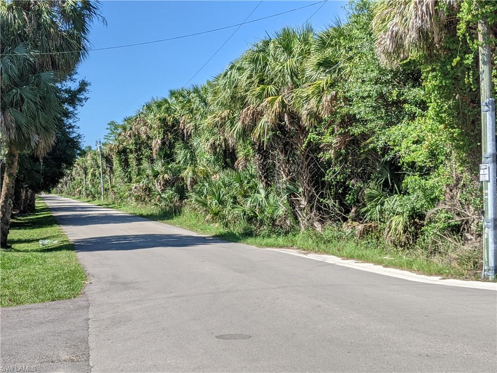 Naples, Florida, 34120, United States, ,Land,Active,2006521