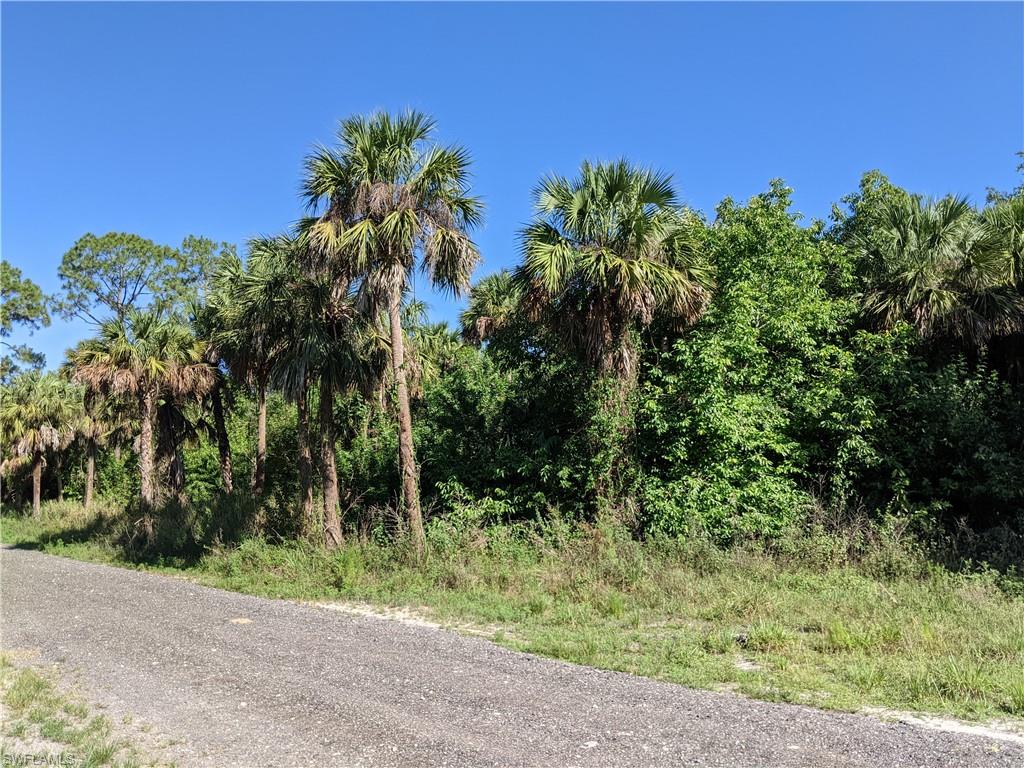 Naples, Florida, 34120, United States, ,Land,Active,2006521