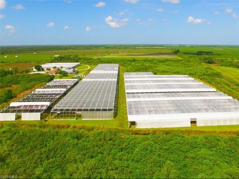 6150 Pringle LN IMMOKALEE FL 34142