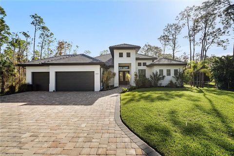 24411 Amarillo ST BONITA SPRINGS FL 34135