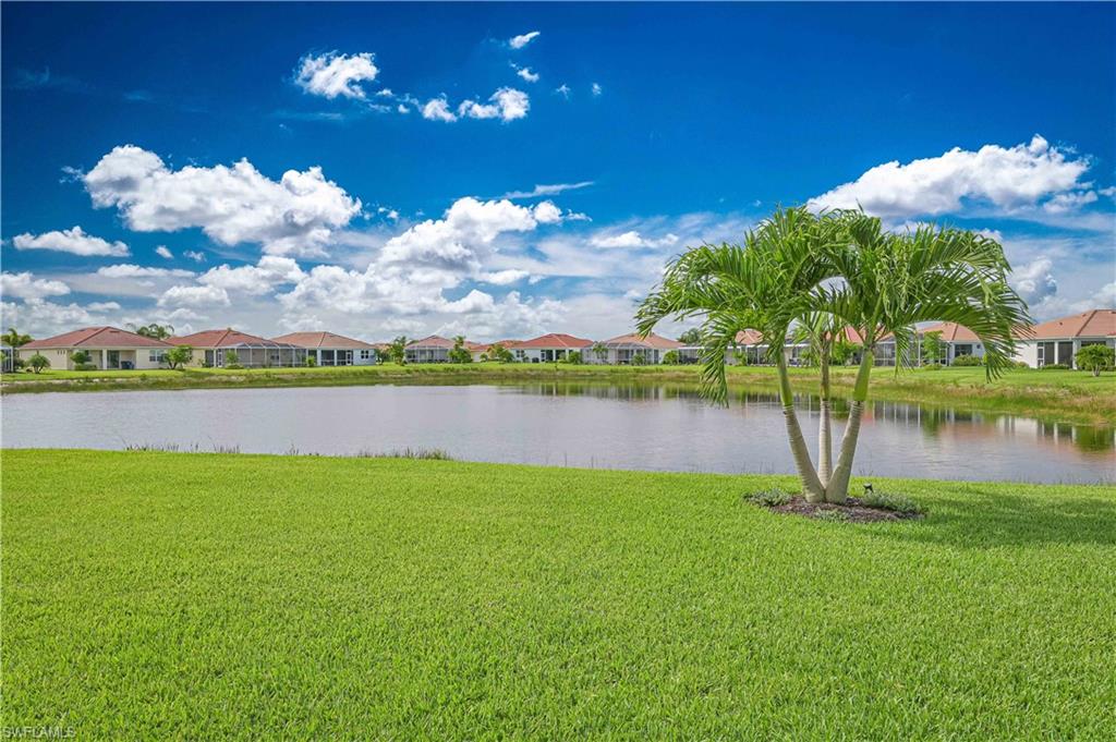 15058 Citrus Tree CT