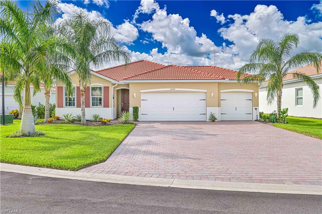 15058 Citrus Tree CT