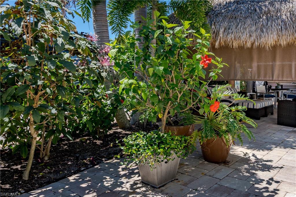 Naples, Florida, 34114, United States, ,Land,Active,1996784