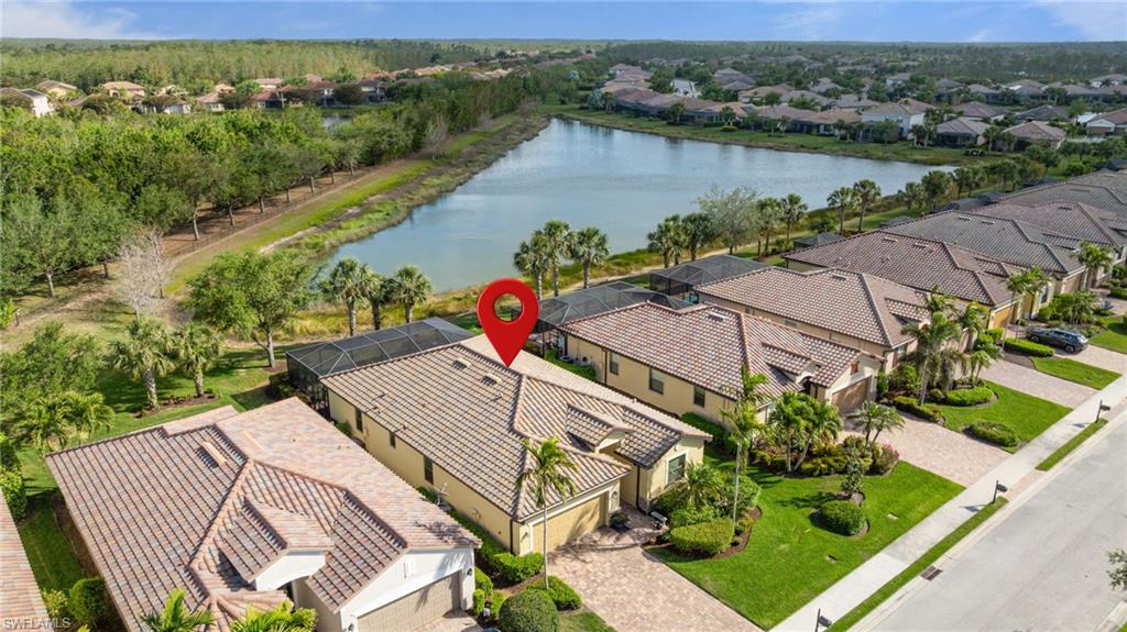 20309 Black Tree LN