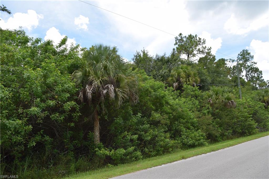 Naples, Florida 34120, United States, ,Land,Active,56880