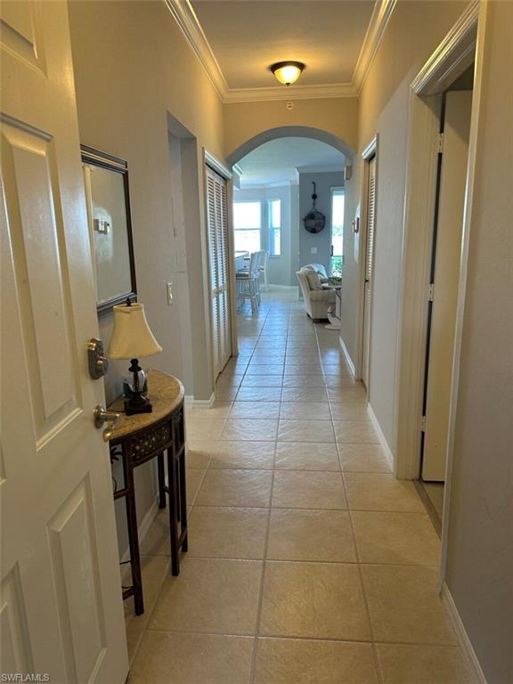 10470 Washingtonia Palm WAY 1217