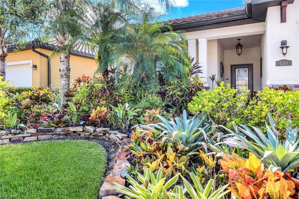 4244 Raffia Palm CIR