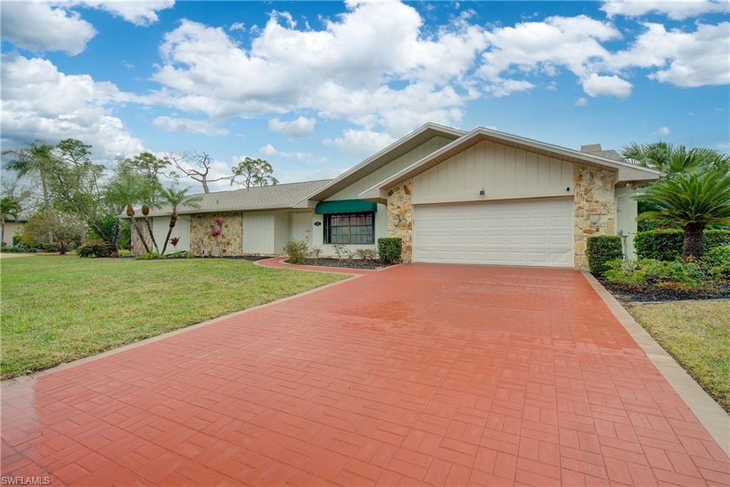 16597 Bear Cub CT